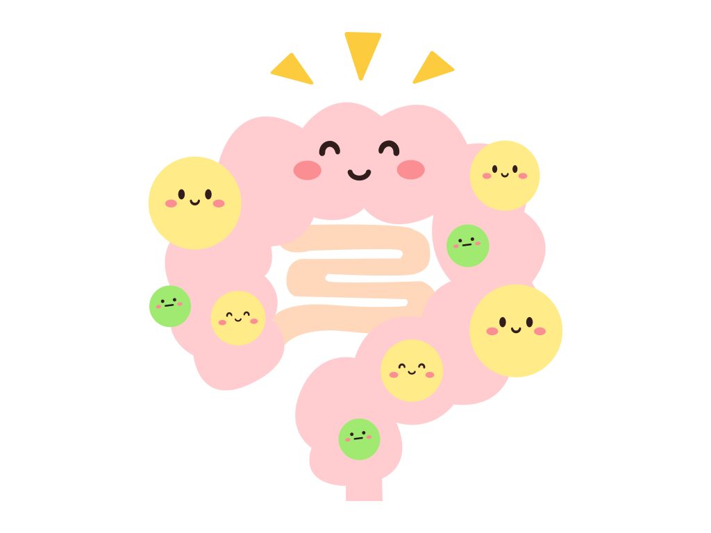 健康的な腸の画像