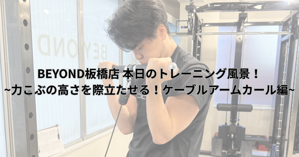 お客様がケーブルアームカールで腕のトレーニングをしている画像